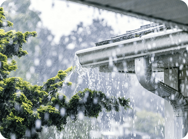 Storm Drain Inspection