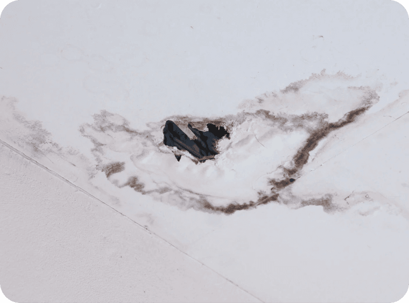 Slab Leak Repairs