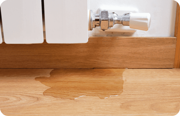 Symptoms of a Slab Leak