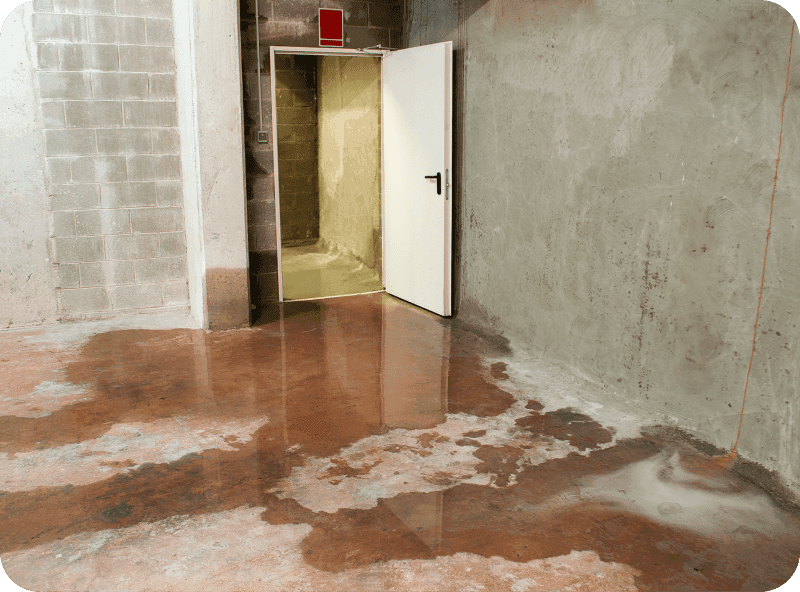 Water Main Install & Replace